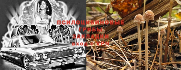 мет Краснослободск