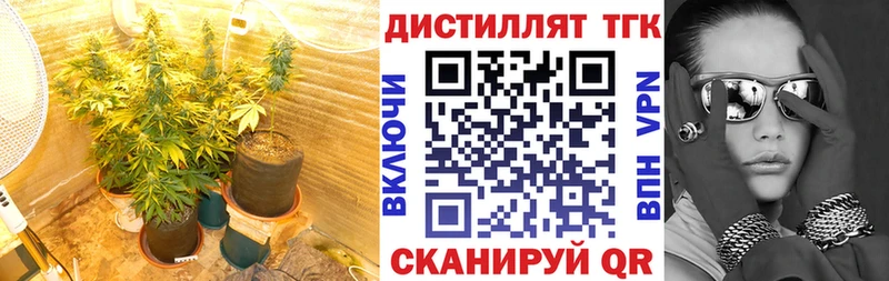 Купить где  Медногорск  ТГК вейп с тгк 